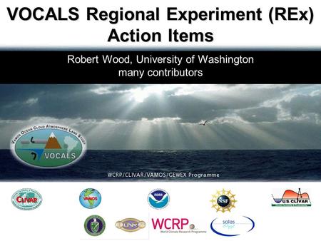 Robert Wood, University of Washington many contributors VOCALS Regional Experiment (REx) Action Items.