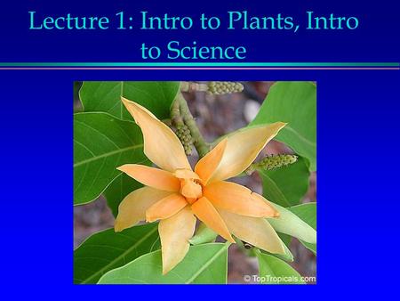Lecture 1: Intro to Plants, Intro to Science. Why do we love plants? What makes them so special?