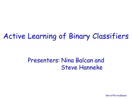 Active Learning of Binary Classifiers