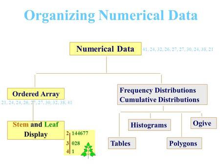 2 144677 3 028 4 1 Organizing Numerical Data Numerical Data Ordered Array Stem and Leaf Display Frequency Distributions Cumulative Distributions Histograms.