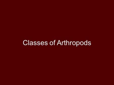 Classes of Arthropods.