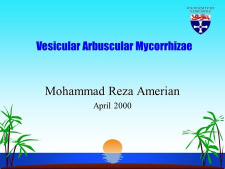 Vesicular Arbuscular Mycorrhizae Mohammad Reza Amerian April 2000.
