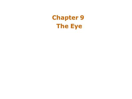 Chapter 9 The Eye. Introduction Significance of vision –Relationship between human eye & camera –Retina Photoreceptors: Converts light energy into neural.