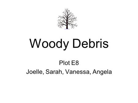 Woody Debris Plot E8 Joelle, Sarah, Vanessa, Angela.