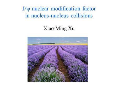 J/  nuclear modification factor in nucleus-nucleus collisions Xiao-Ming Xu.