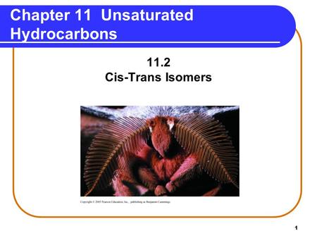 1 Chapter 11 Unsaturated Hydrocarbons 11.2 Cis-Trans Isomers.