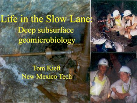 Life in the Slow Lane: Deep subsurface geomicrobiology Tom Kieft New Mexico Tech.