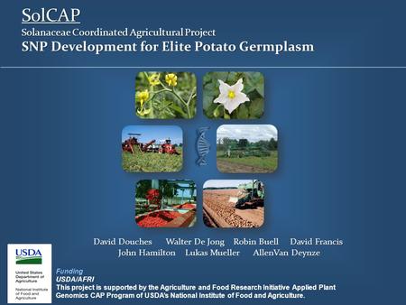 SolCAP Solanaceae Coordinated Agricultural Project SNP Development for Elite Potato Germplasm David Douches Walter De Jong Robin Buell David Francis John.