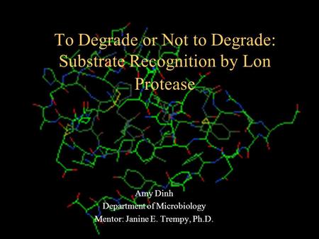 To Degrade or Not to Degrade: Substrate Recognition by Lon Protease Amy Dinh Department of Microbiology Mentor: Janine E. Trempy, Ph.D.