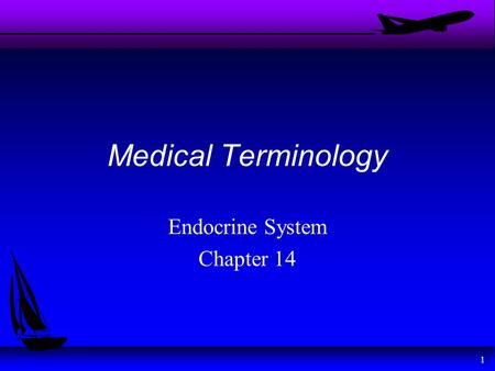 Endocrine System Chapter 14
