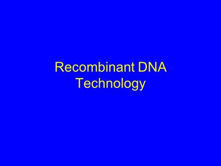 Recombinant DNA Technology. rDNA Technology Restriction Enzymes and DNA Ligase Plasmid Cloning Vectors Transformation of Bacteria Blotting Techniques.