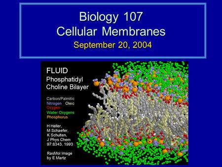 Biology 107 Cellular Membranes September 20, 2004.