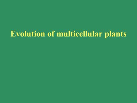 Evolution of multicellular plants. Fig 16.27 Evolution of a multicellular organism from a unicellular protist.