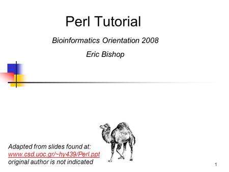 1 Perl Tutorial Adapted from slides found at: www.csd.uoc.gr/~hy439/Perl.ppt original author is not indicated Bioinformatics Orientation 2008 Eric Bishop.