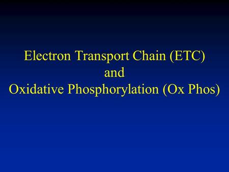 Electron Transport Chain (ETC) and Oxidative Phosphorylation (Ox Phos)
