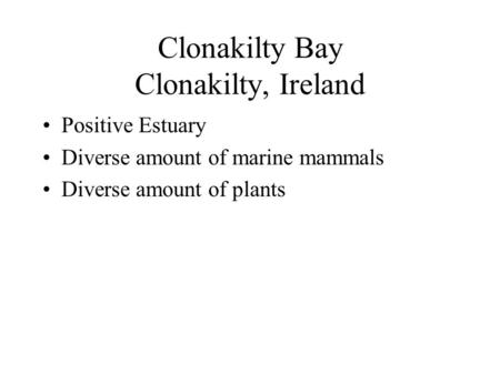 Clonakilty Bay Clonakilty, Ireland Positive Estuary Diverse amount of marine mammals Diverse amount of plants.