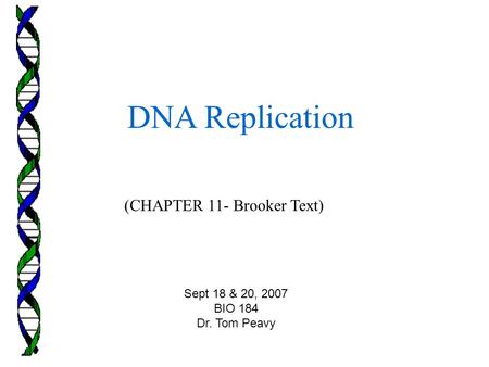 (CHAPTER 11- Brooker Text) DNA Replication Sept 18 & 20, 2007 BIO 184 Dr. Tom Peavy.