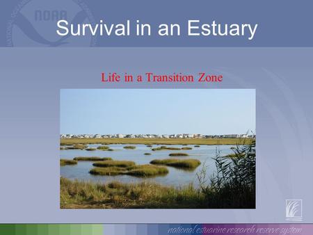 Survival in an Estuary Life in a Transition Zone.