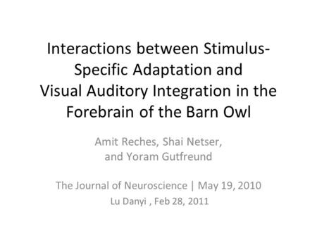 Interactions between Stimulus- Specific Adaptation and Visual Auditory Integration in the Forebrain of the Barn Owl Amit Reches, Shai Netser, and Yoram.