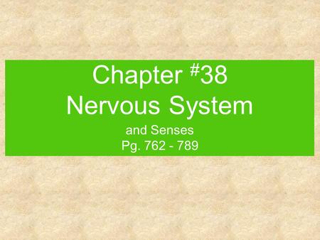 Chapter #38 Nervous System
