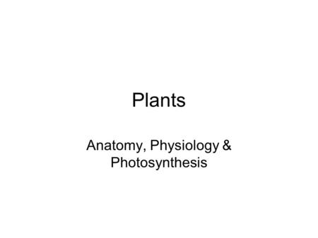 Anatomy, Physiology & Photosynthesis