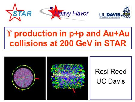  production in p+p and Au+Au collisions at 200 GeV in STAR Rosi Reed UC Davis.