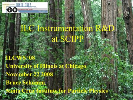 ILC Instrumentation R&D at SCIPP ILCWS ‘08 University of Illinois at Chicago November 22 2008 Bruce Schumm Santa Cruz Institute for Particle Physics.
