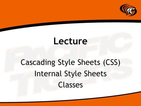 Lecture Cascading Style Sheets (CSS) Internal Style Sheets Classes.