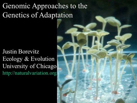 Genomic Approaches to the Genetics of Adaptation Justin Borevitz Ecology & Evolution University of Chicago