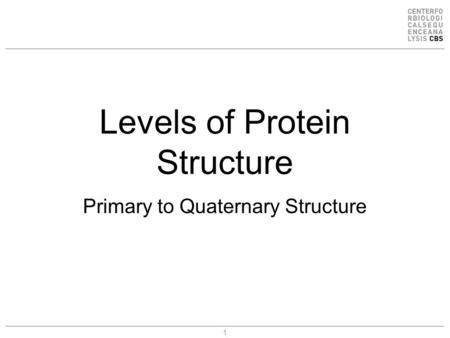 1 Levels of Protein Structure Primary to Quaternary Structure.