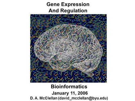 Gene Expression And Regulation Bioinformatics January 11, 2006 D. A. McClellan