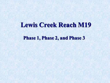 Lewis Creek Reach M19 Phase 1, Phase 2, and Phase 3.