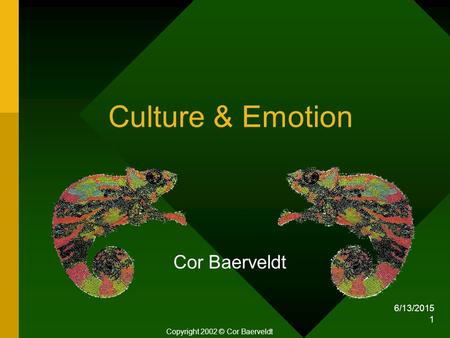6/13/2015 1 Culture & Emotion Cor Baerveldt Copyright 2002 © Cor Baerveldt.