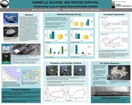 SAWMILLS, SULIFIDE, AND SPECIES SURVIVAL : Biodiversity Loss in Highly Altered Intertidal Habitats Marissa Jones; Advisor: Joel Elliott University of Puget.