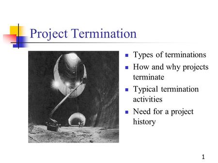 Project Termination Types of terminations