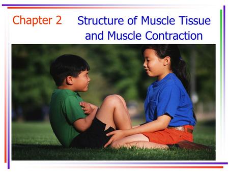 Structure of Muscle Tissue and Muscle Contraction