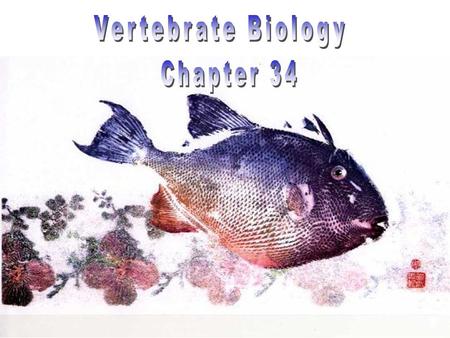 Vertebrate Biology Chapter 34.
