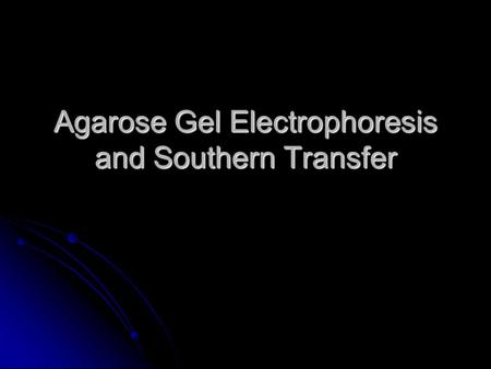 Agarose Gel Electrophoresis and Southern Transfer.
