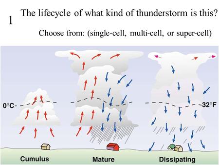 1 The lifecycle of what kind of thunderstorm is this? Choose from: (single-cell, multi-cell, or super-cell)