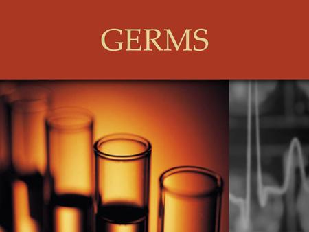 GERMS. Germs: What are they? What: Germs Where: Everywhere Functions: Some germs help us with our daily functions like digesting food. Others hurt us.