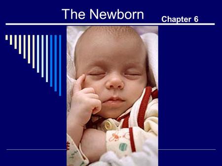 The Newborn Chapter 6.