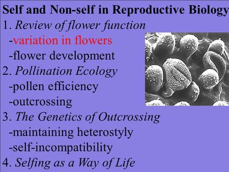 Self and Non-self in Reproductive Biology 1. Review of flower function -variation in flowers -flower development 2. Pollination Ecology -pollen efficiency.