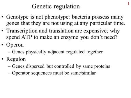 1 Genetic regulation Genotype is not phenotype: bacteria possess many genes that they are not using at any particular time. Transcription and translation.