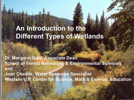 An Introduction to the Different Types of Wetlands Dr. Margaret Gale, Associate Dean School of Forest Resources & Environmental Sciences and Joan Chadde,
