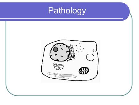 Pathology. Pathology : The study of the structural and functional changes leading to disease in: Cell Tissue Organs Pathophysiology : Is the abnormal.