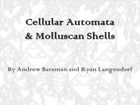 Cellular Automata & Molluscan Shells