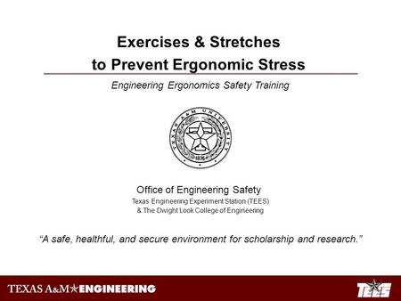 Engineering Ergonomics Safety Training Office of Engineering Safety Texas Engineering Experiment Station (TEES) & The Dwight Look College of Engineering.