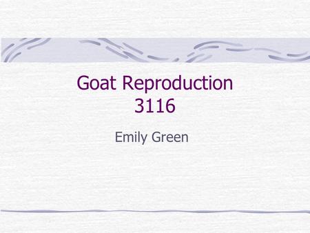 Goat Reproduction 3116 Emily Green. Factors Influencing the Reproduction Cycle 1. Duration of the heat period (estrus). 2. Duration of the heat interval.