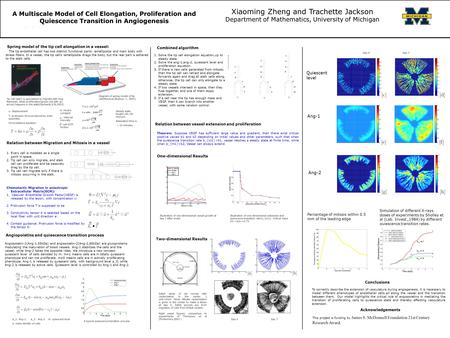 A Multiscale Model of Cell Elongation, Proliferation and Quiescence Transition in Angiogenesis Xiaoming Zheng and Trachette Jackson Department of Mathematics,