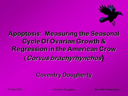 03 May 2004Coventry DoughertyBiol 466H Presentation Apoptosis: Measuring the Seasonal Cycle Of Ovarian Growth & Regression in the American Crow (Corvus.